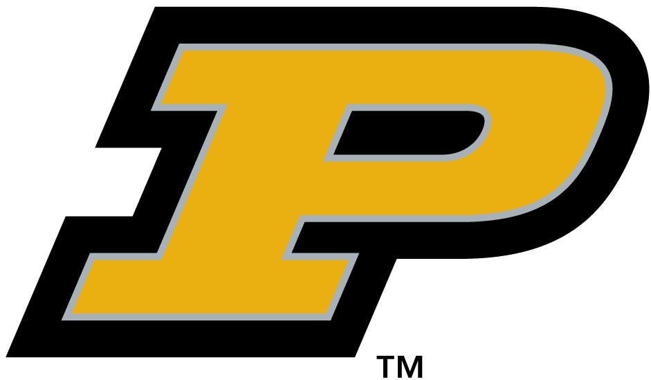 Purdue Boilermakers 1996-2011 Alternate Logo v2 iron on transfers for fabric